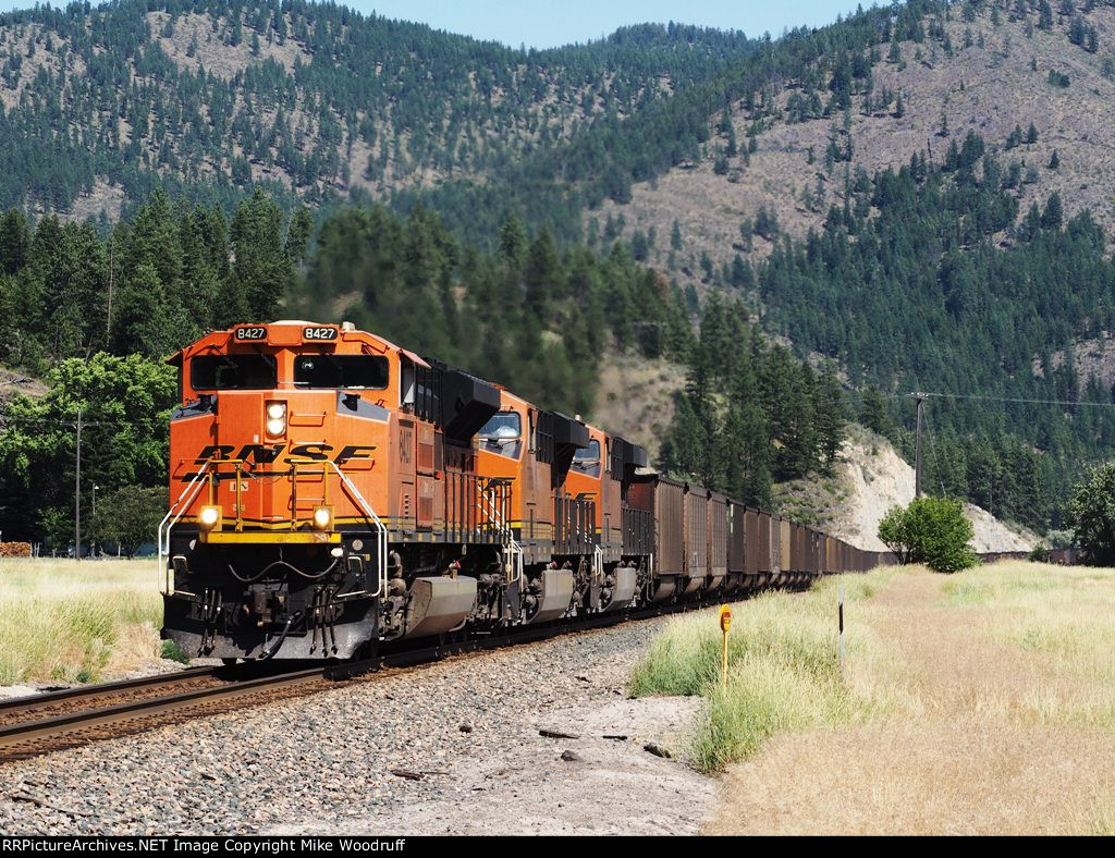 BNSF 8427